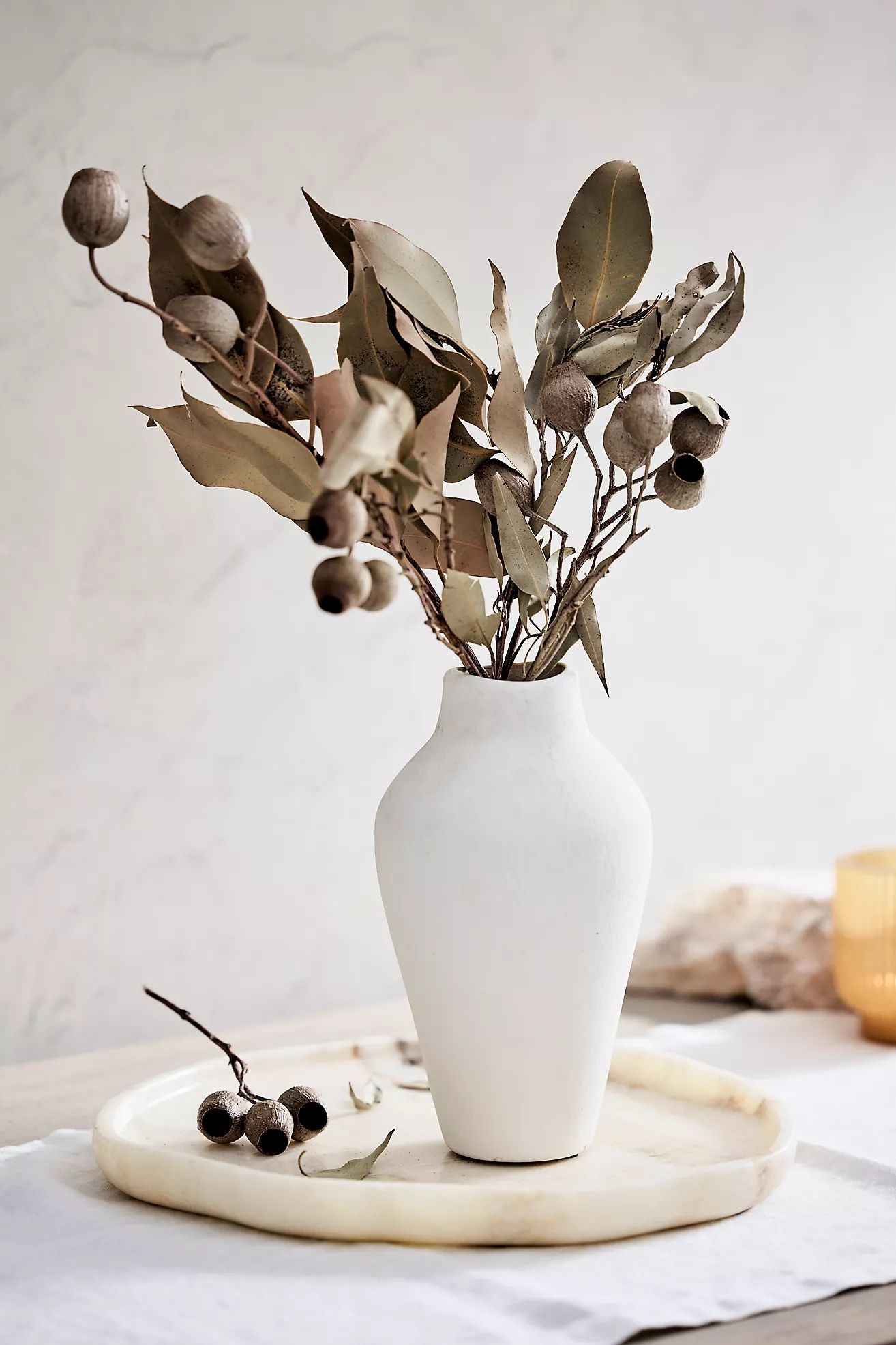 Dried Eucalyptus Ficifolia Bunch | Terrain