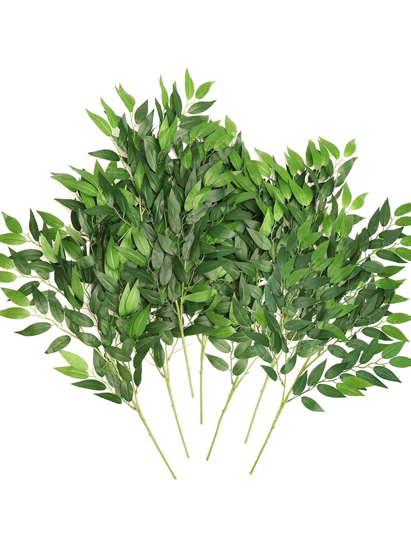 1PC Artificial Italian Ruscus Greenery Stems 27.6 Inch Hanging Faux Leaves Greenery For Floral Arrangement Wedding Bouquet Garland Arch Home Decor, Valentine Day, Gift Gifts Birthday Graduation | SHEIN