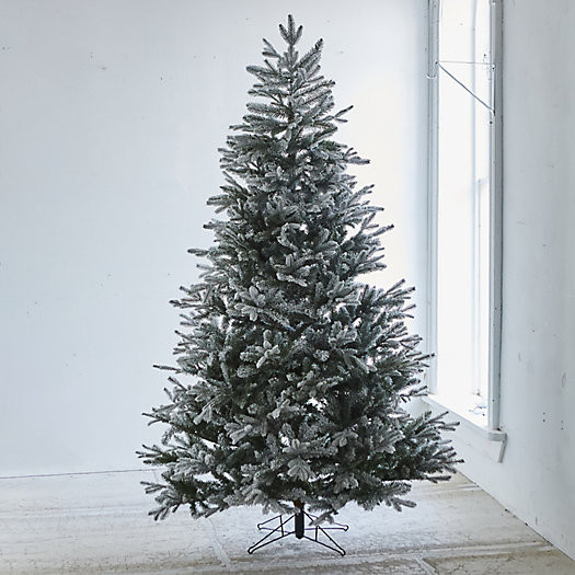 Faux Snowy Fraser Fir | Terrain