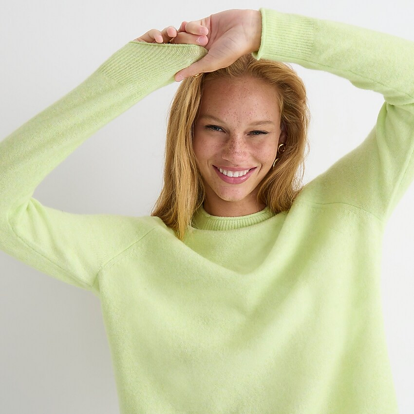 Rollneck sweater in Supersoft yarn | J. Crew US