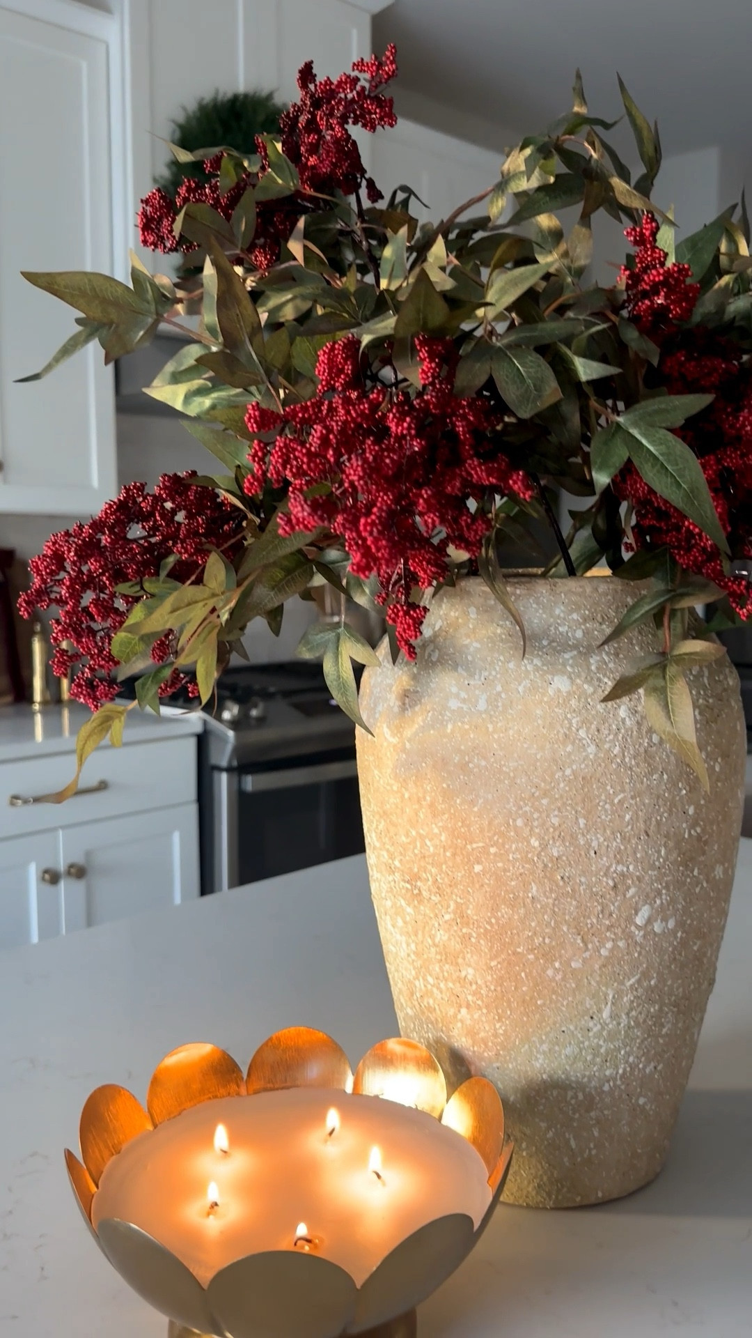 Holiday kitchen inspo
#holidaydecor #kitchendecor #christmasdecor #berrystems 

#LTKFindsUnder100 #LTKHoliday #LTKHome