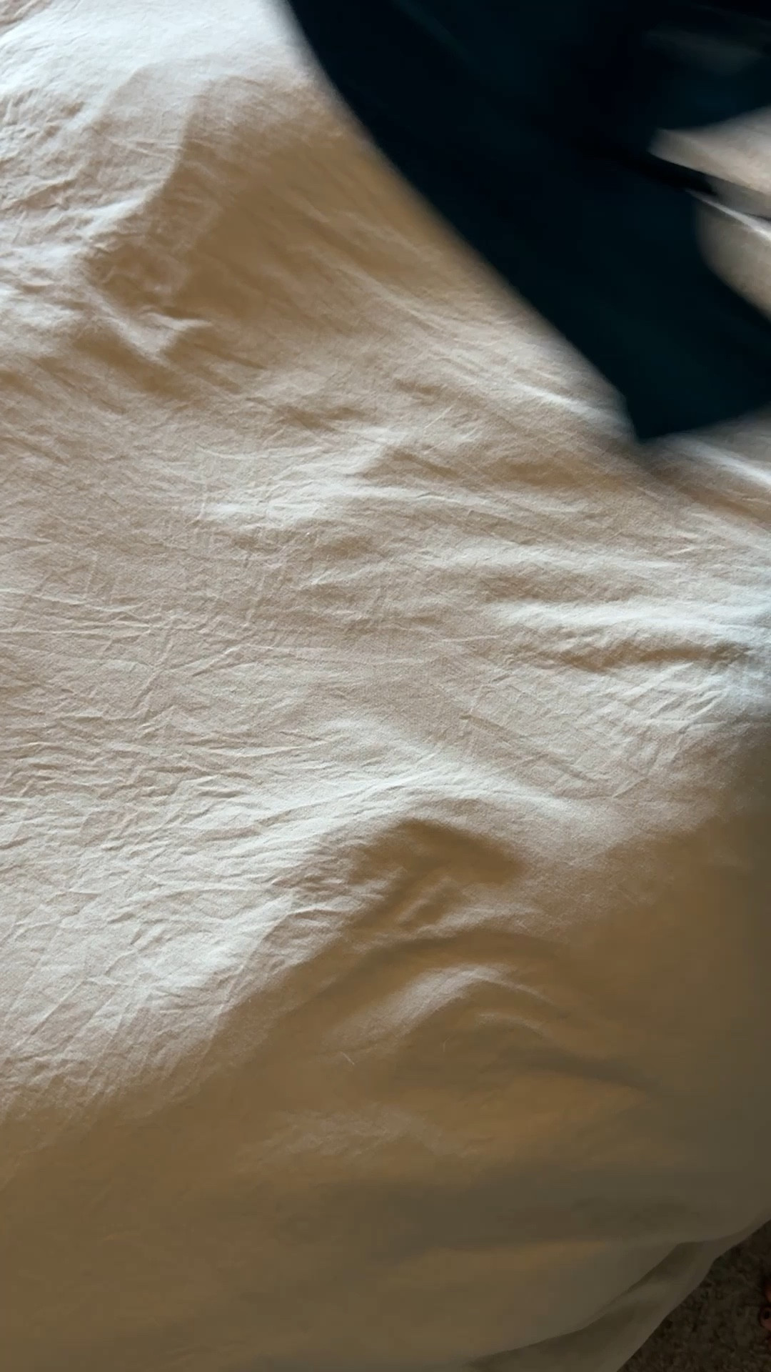 Satin tanks from Amazon 

#LTKCyberWeek #LTKworkwear #LTKGiftGuide