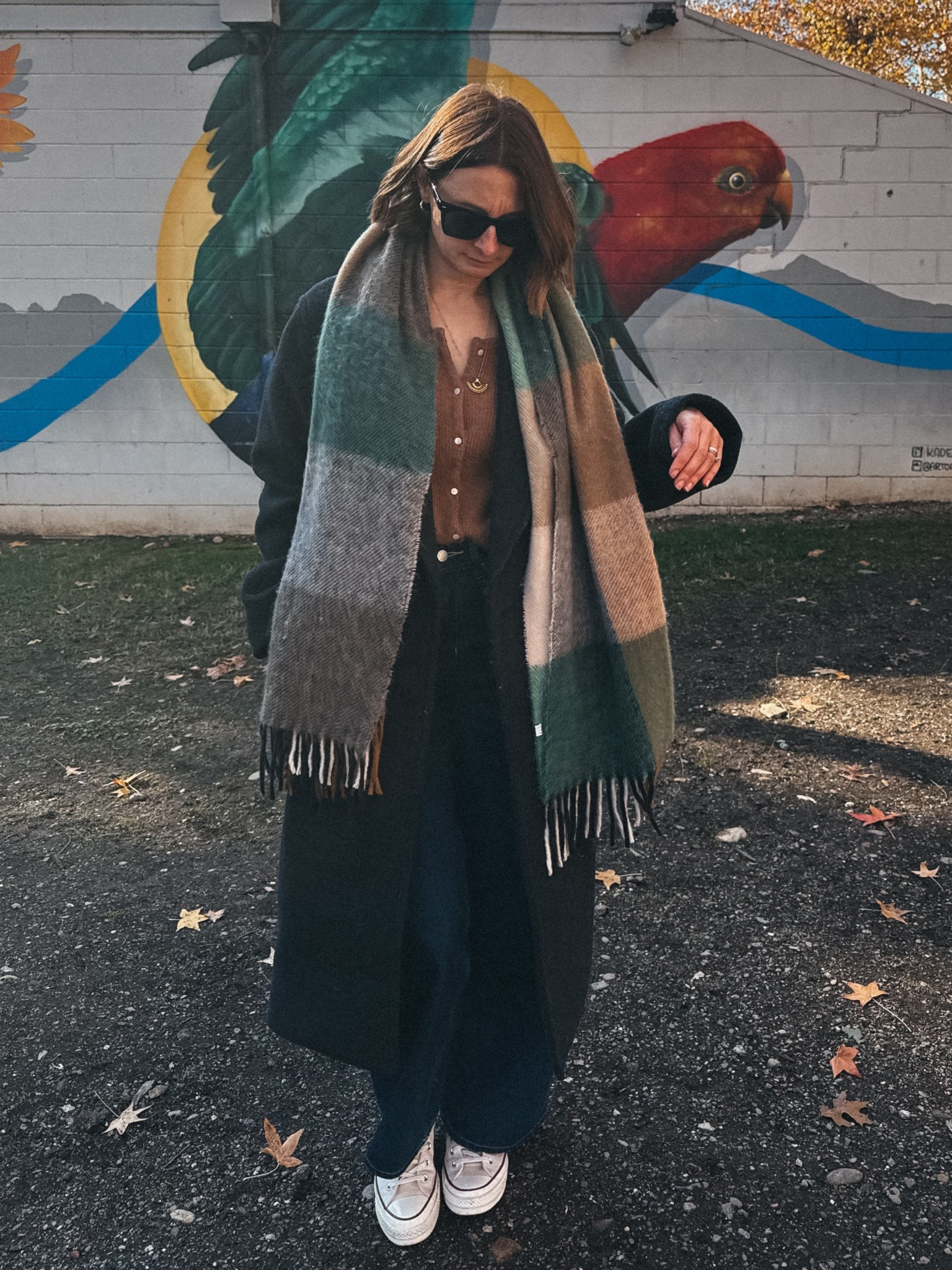 Jeans - Assembly Label. Small sizing. I sized up to a 27
Cardigan - Sezane. Wearing my usual size small
Converse -tts 
Coat - Everlane. Wearing a small. Oversized fit  

#LTKwinter #LTKaustralia #LTKnewzealand