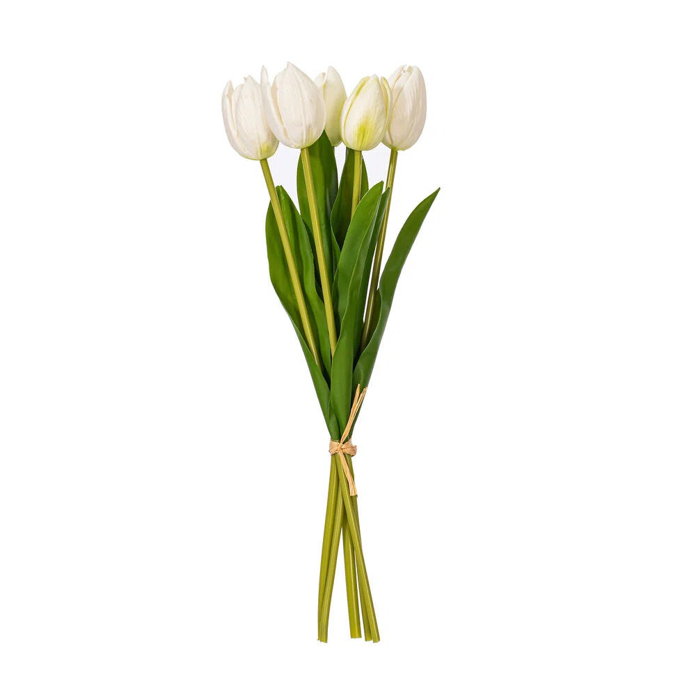 16"H Plum Tulip Bundle of 5. (Set of 2) | Wayfair North America