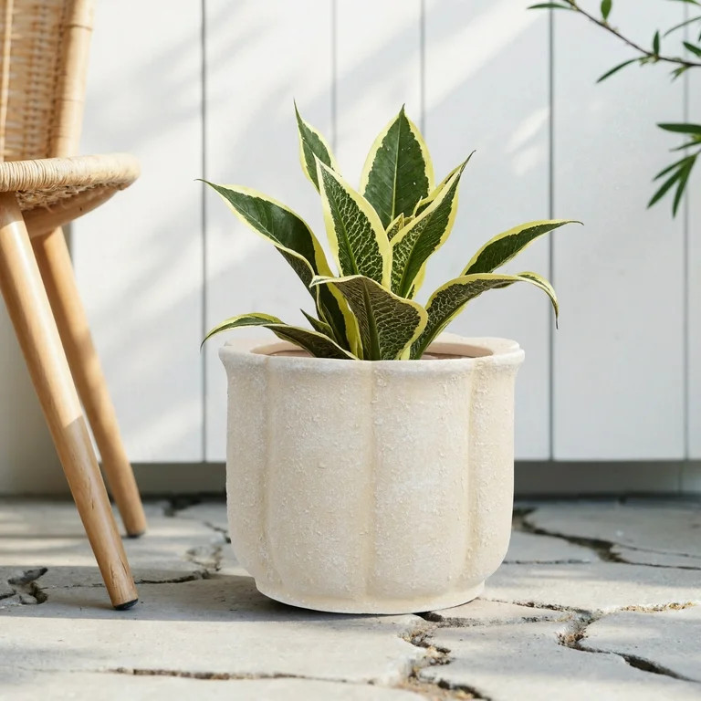 My Texas House Ceramic Flower Planter Peach 8 inch | Walmart (US)