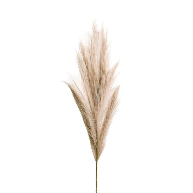 Faux Pampas Grass Stem 40 Inch | World Market
