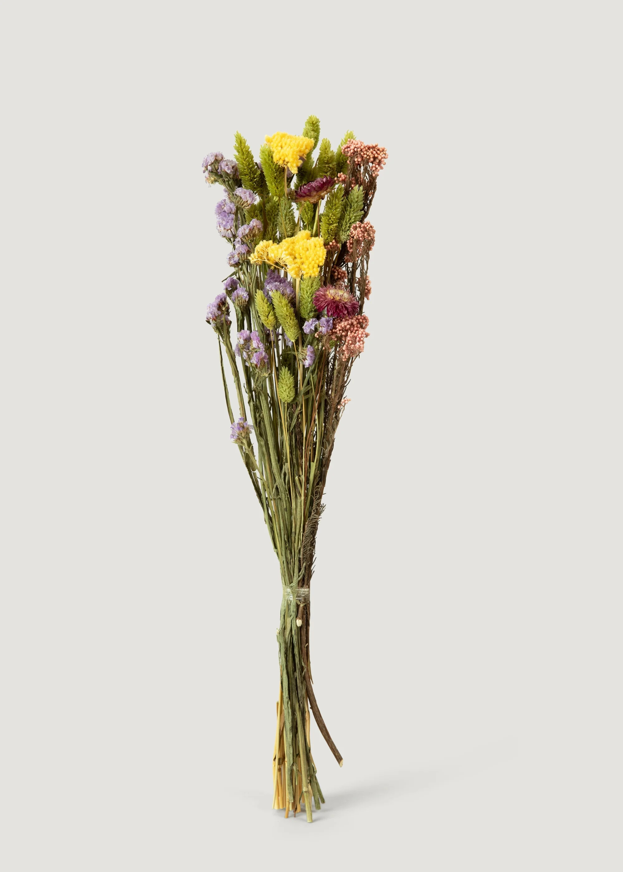Preserved Floral Bundle of Mixed Flowers | Dried Botanicals | Afloral | Afloral