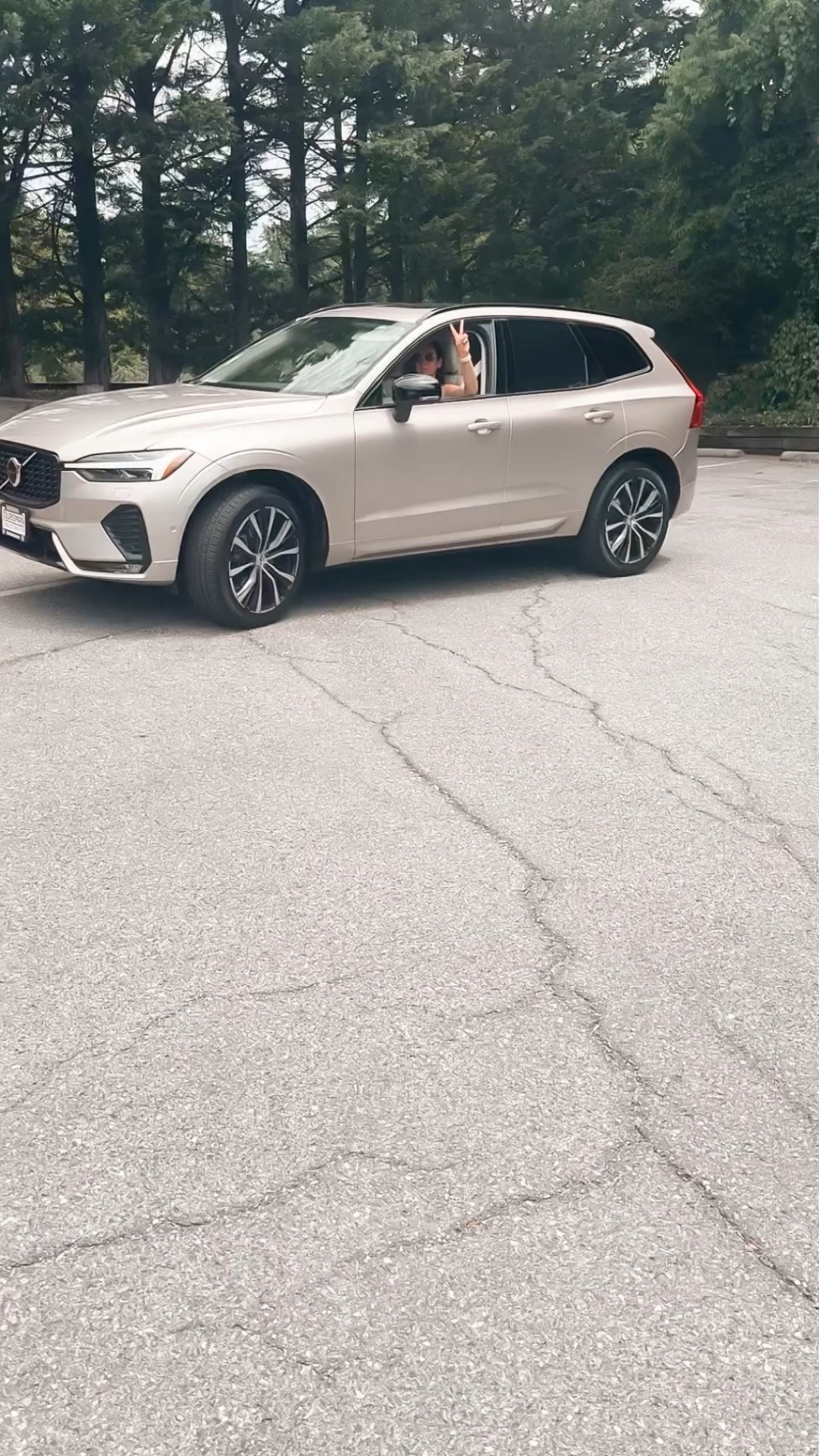 New car accessories more on my Amazon 

#LTKStyleTip #LTKOver40 #LTKFindsUnder50