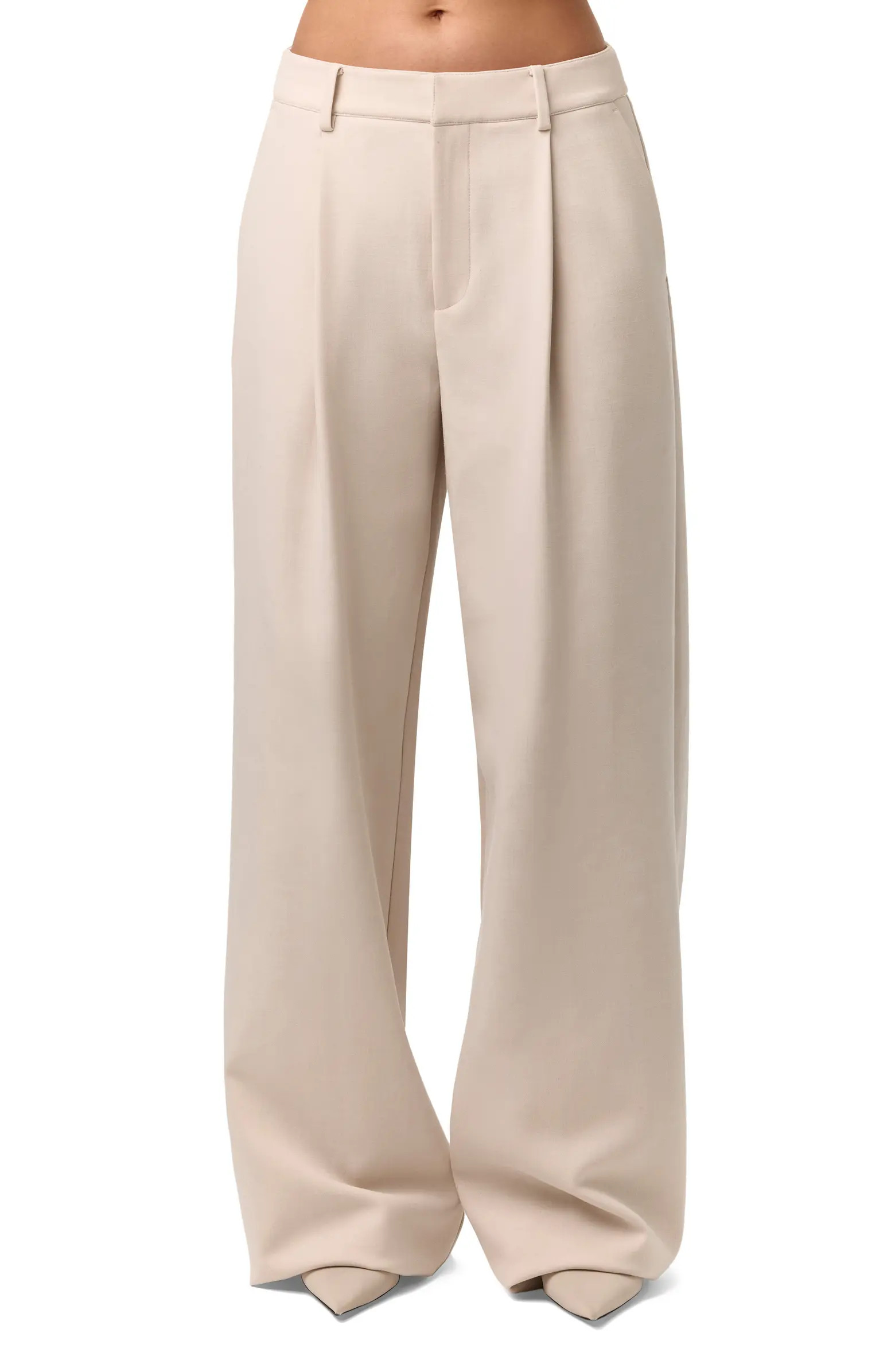 Pleated Wide Leg Pants | Nordstrom
