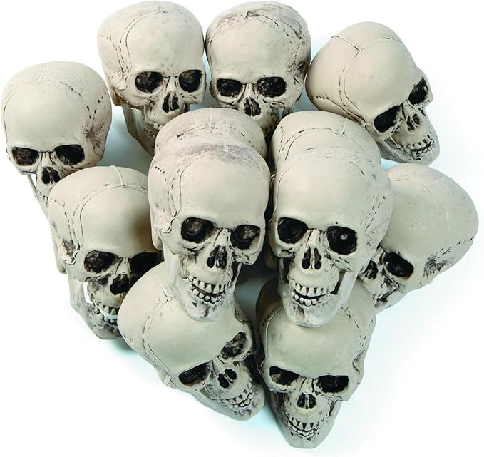 Bag of Realistic Bulk Skeleton Skulls (12 Pack) 5 Inch Human Skulls Halloween Decorations, Bar an... | Amazon (US)