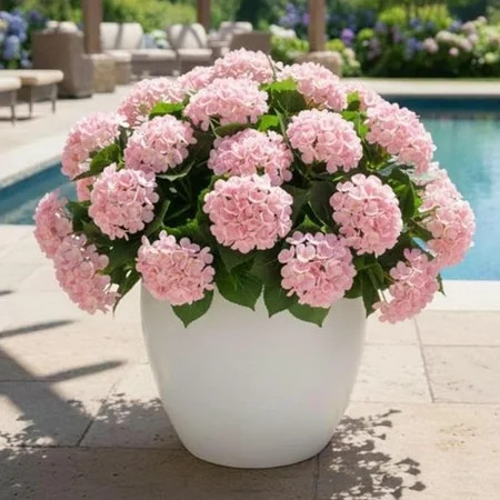 Nearly Natural UV-Resistant Artificial Hydrangea Outdoor Bush Plant - 14" - Pink - Set of 6 | Walmart (US)