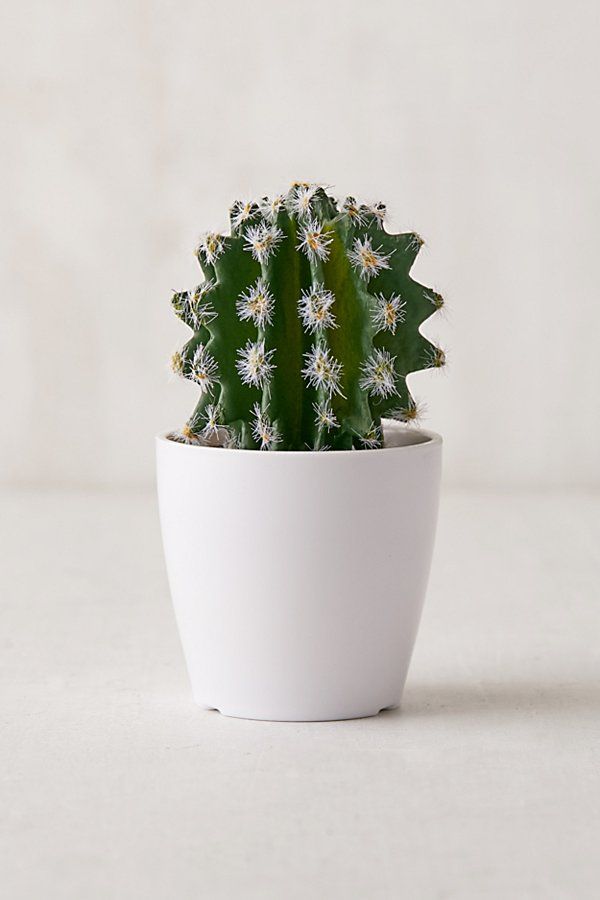 Potted Faux 3" Cactus - Green at Urban Outfitters | Urban Outfitters (US and RoW)
