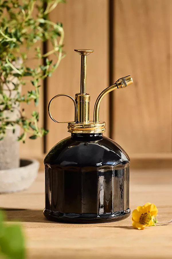 Color Glass + Brass Plant Mister | Anthropologie (US)