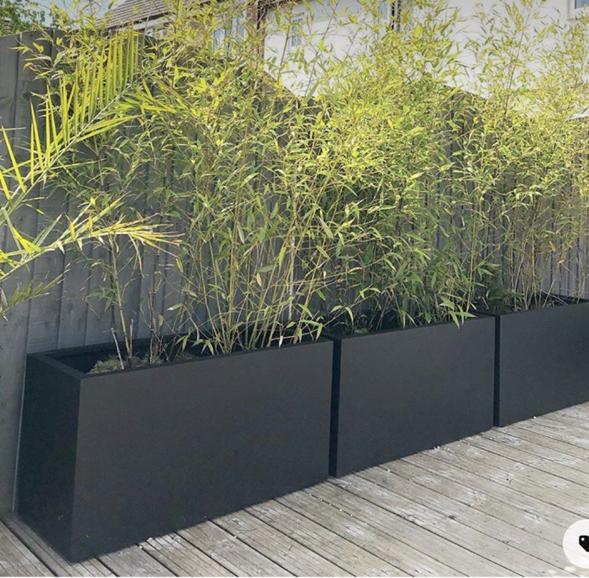 Garden ideas

#LTKsummer #LTKhome #LTKfamily