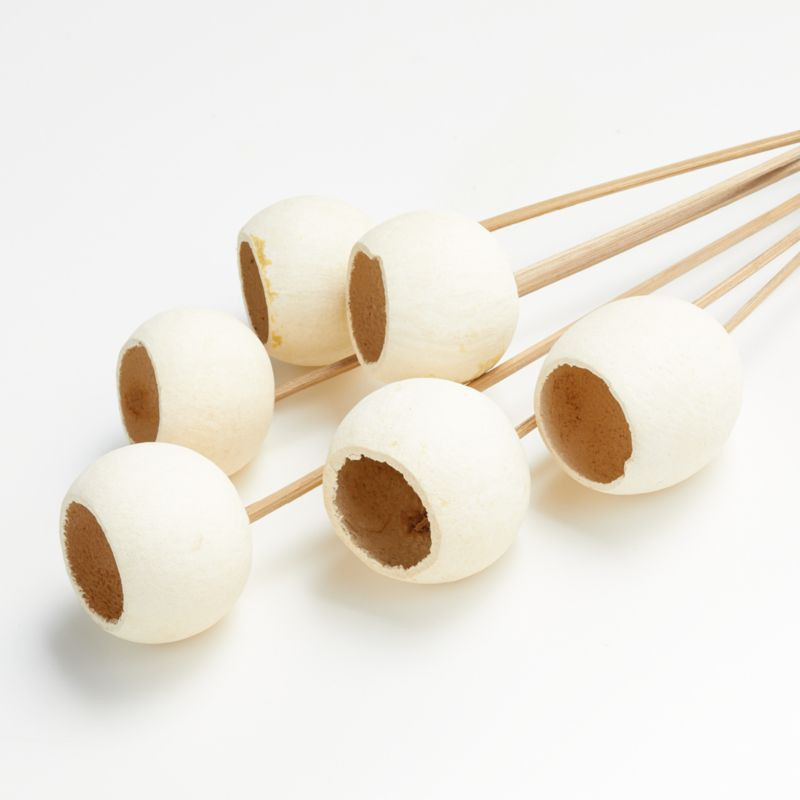 Bleached Bell Cups, Set of 6 + Reviews | Crate and Barrel | Crate & Barrel