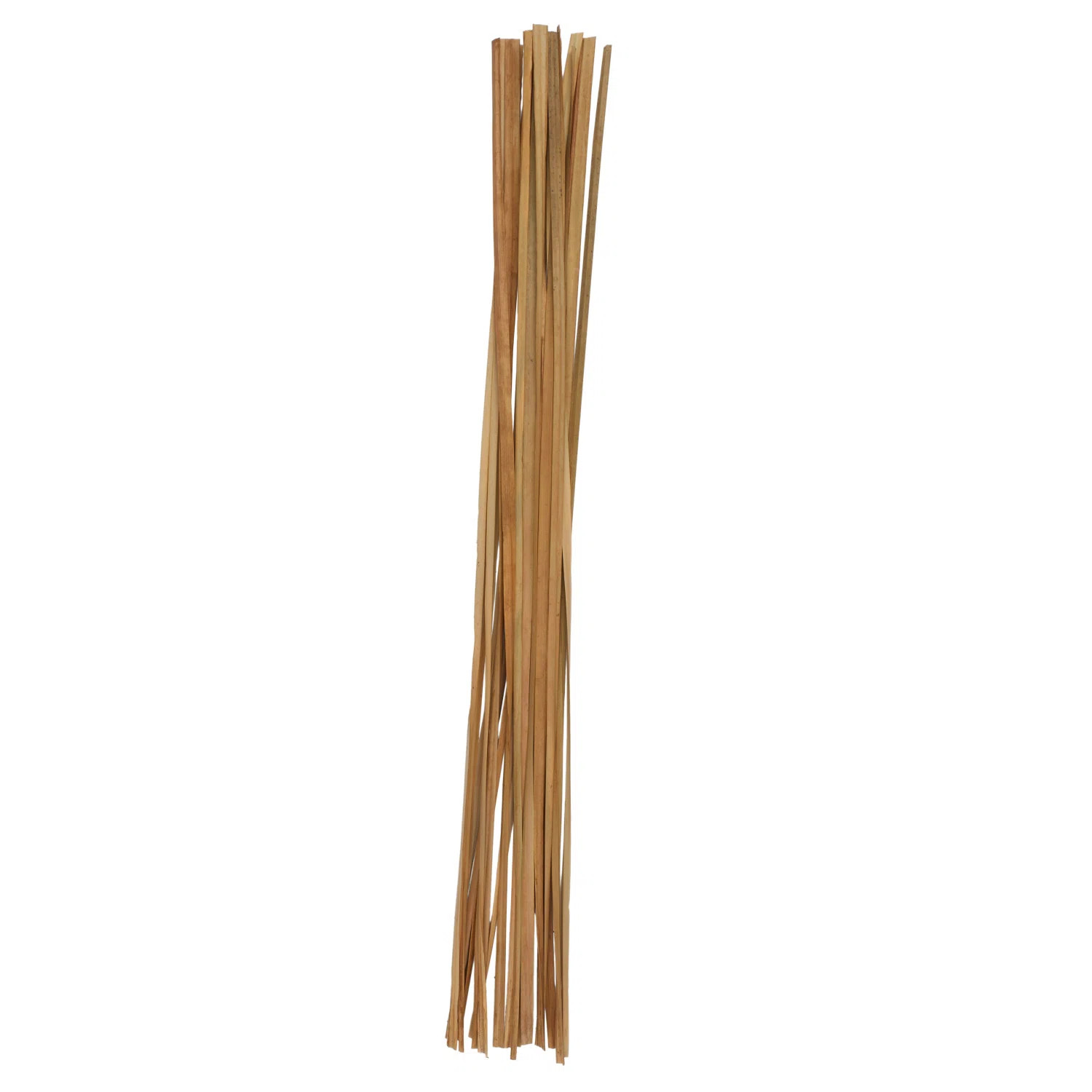 Cole And Grey Dried Plant Tall Sticks Natural Foliage | Wayfair North America