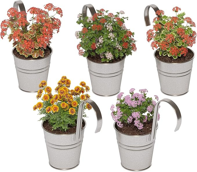 brightmaison Lily Hanging Planter for Balcony & Garden Decor, Galvanized Plant Pots - Succulent P... | Amazon (US)