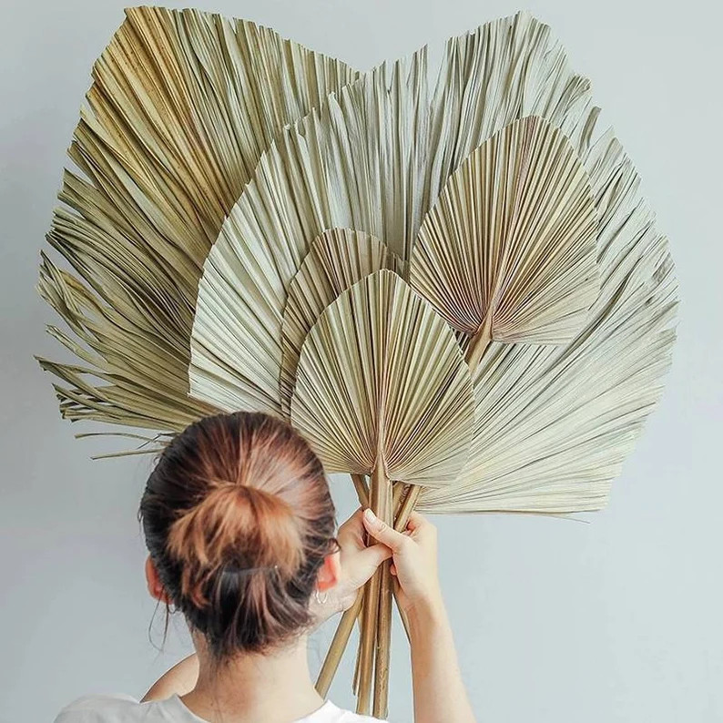 Dried Palm Leaf Decordry Palm Leaf Decor party Decor Beach | Etsy | Etsy (US)