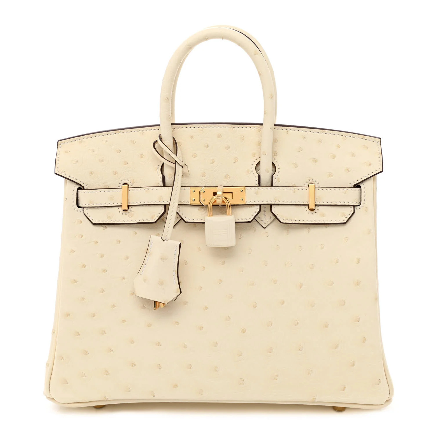 Ostrich Birkin 25 Nata | FASHIONPHILE (US)