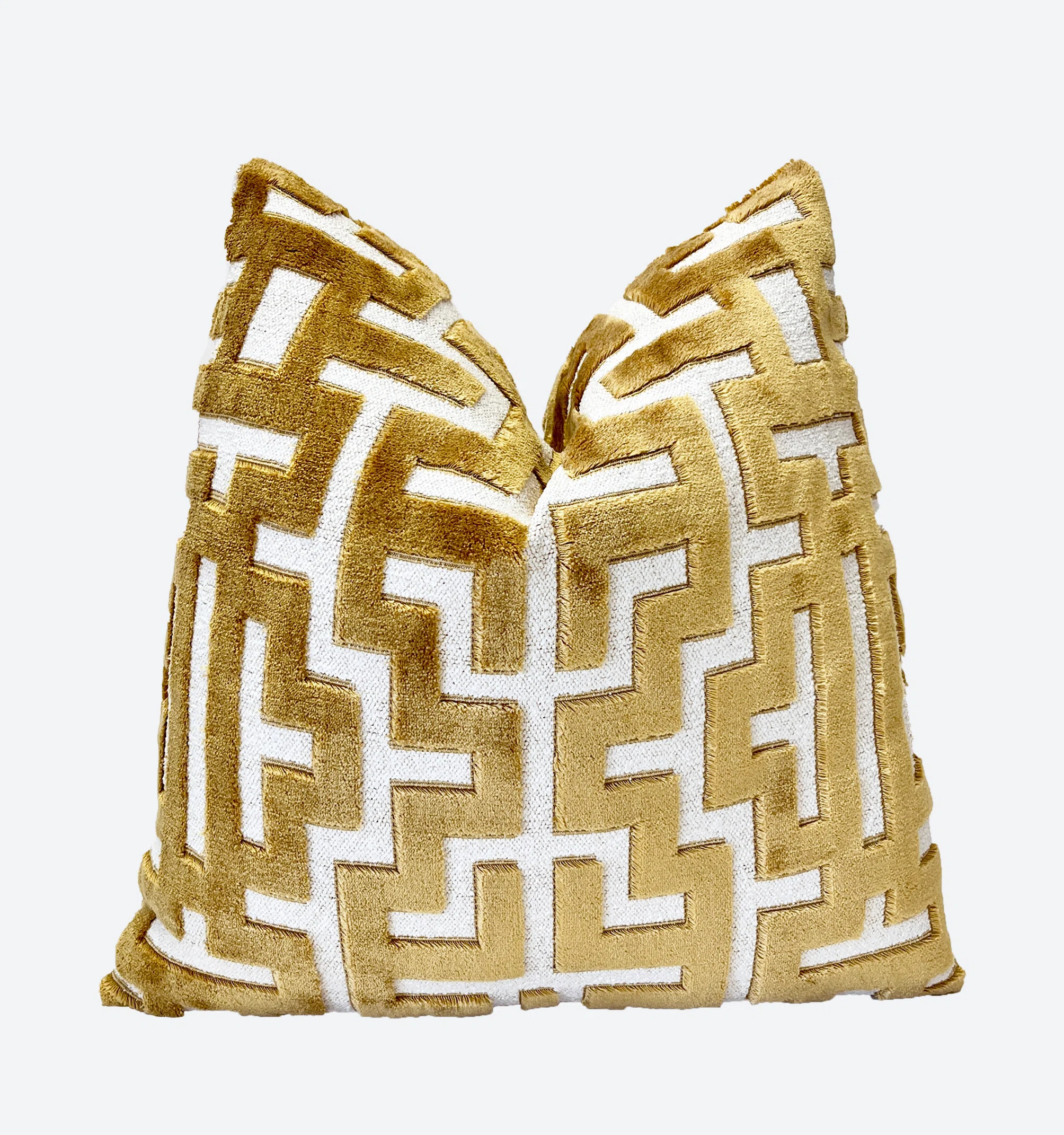 Myriad Velvet Throw Pillow Cover | Wayfair North America