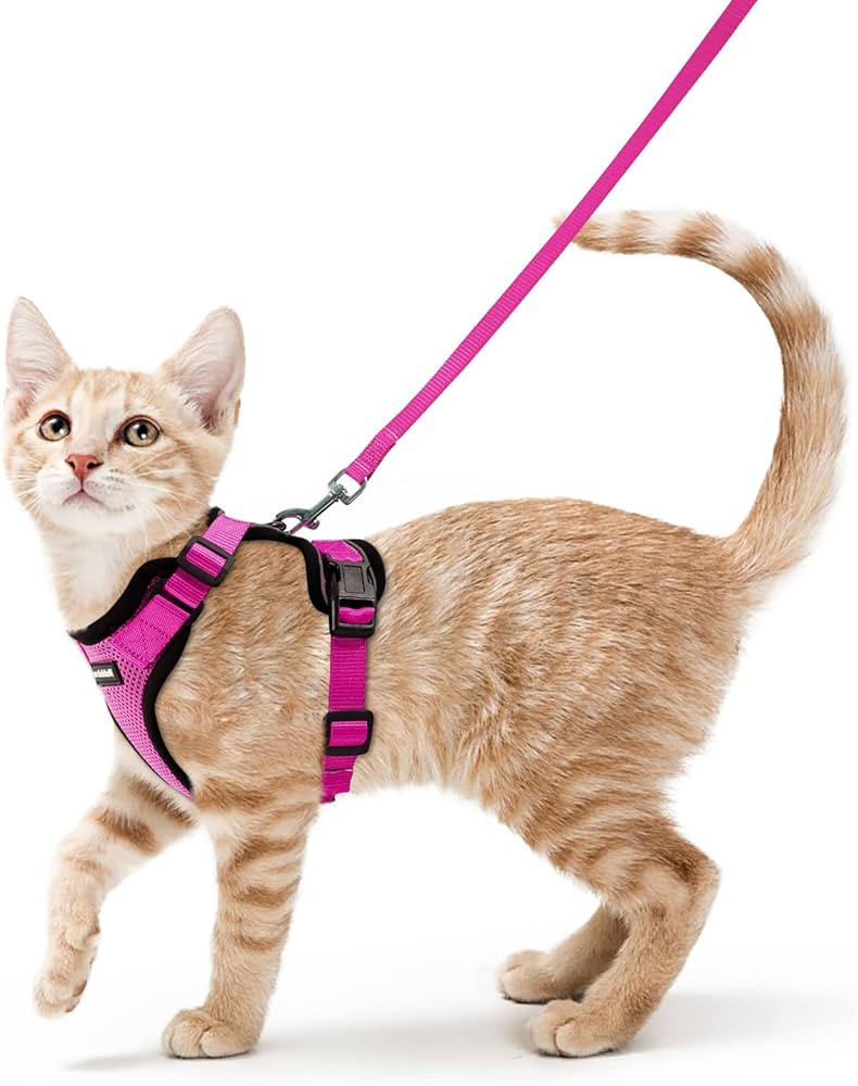 rabbitgoo Cat Harness and Leash for Walking, Escape Proof Soft Adjustable Vest Harnesses for Cats... | Amazon (US)