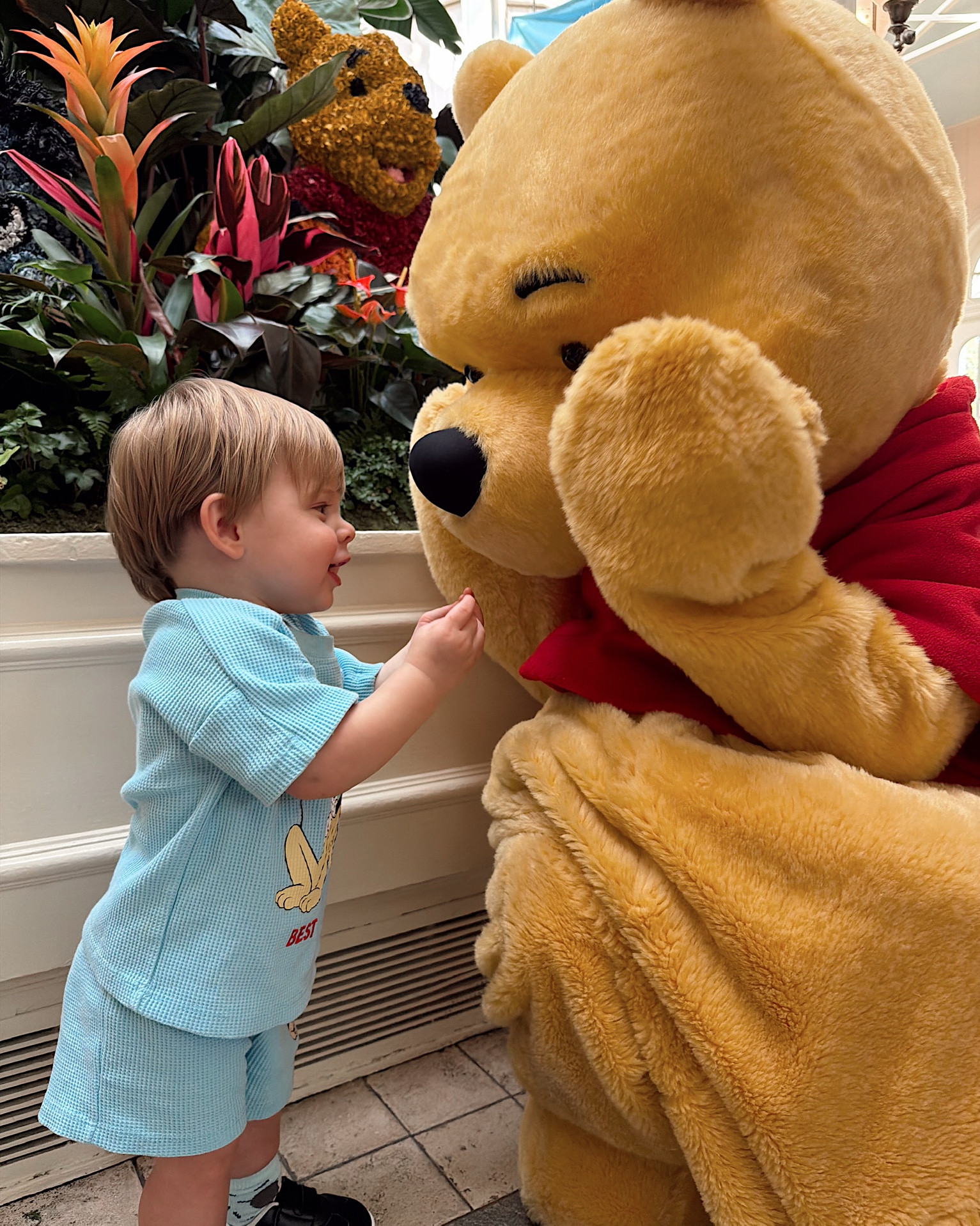 The cutest Disney picture I’ve ever taken! Storm and his friend Pooh bear! 

#LTKBaby #LTKKids #LTKTravel
