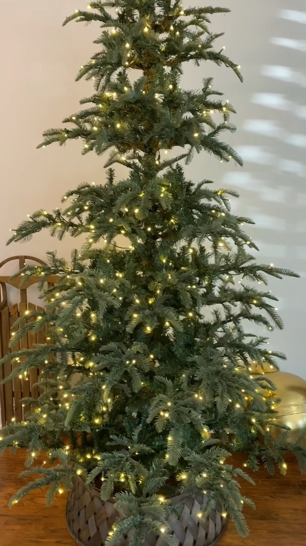 8’ King of Christmas King Noble Fir

#LTKSeasonal #LTKHoliday #LTKhome