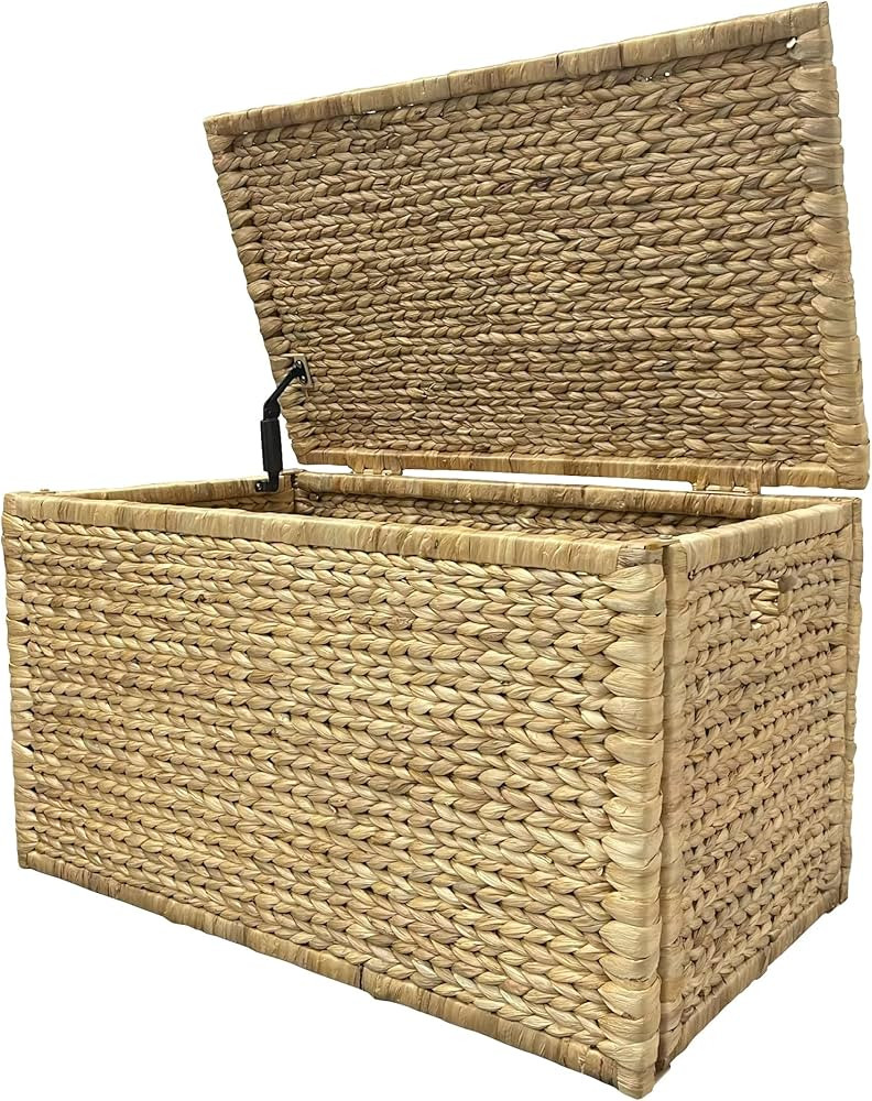 eHemco Heavy-duty Water Hyacinth Wicker Storage Trunk with Metal Frame, Natural | Amazon (US)