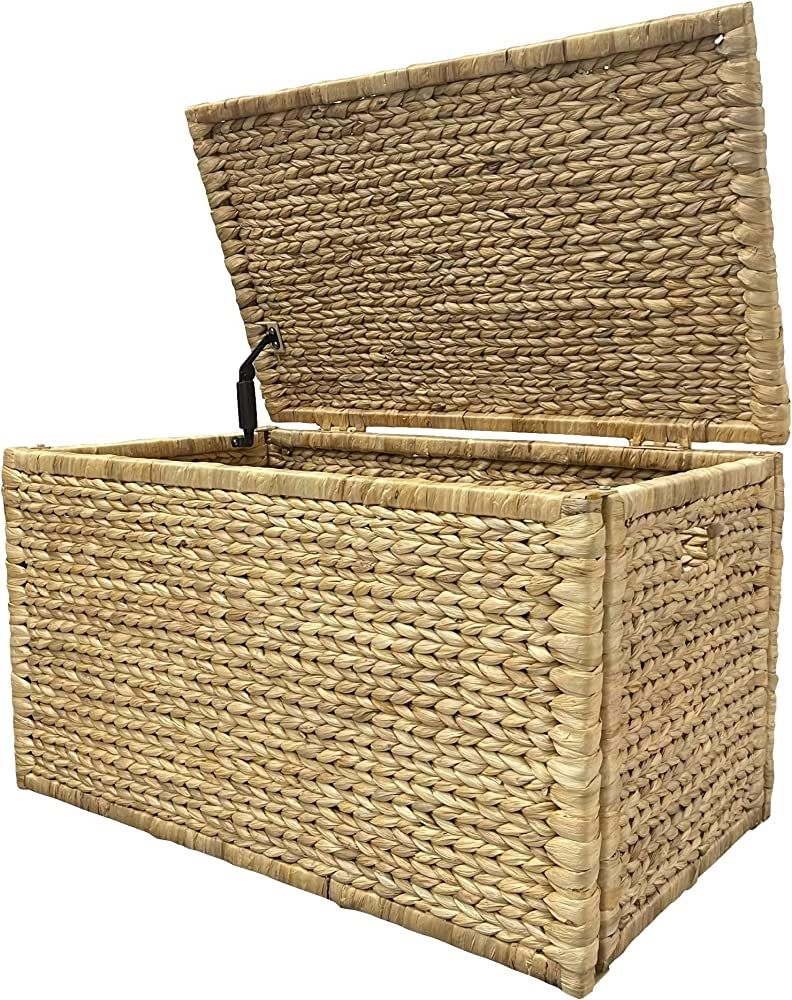 eHemco Heavy-duty Water Hyacinth Wicker Storage Trunk with Metal Frame, Natural | Amazon (US)