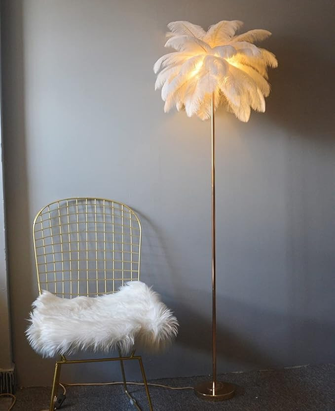 Unique Led Floor Lamp White, Elegant Natural Ostrich Feather Stand Lamp, 5 Led Light Sources, Liv... | Amazon (US)