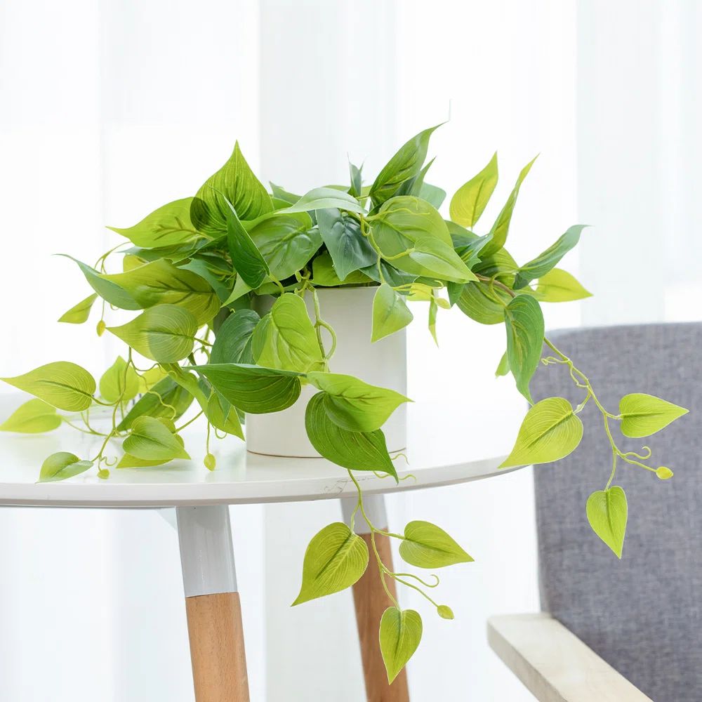 Primrue Faux Foliage Plant in Ceramic Pot & Reviews | Wayfair | Wayfair North America