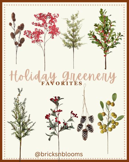 Holiday Greenery Favorites 

Stems, pine cones, faux greenery, berries, Christmas decor, winter decor, indoor greenery 

#LTKhome #LTKHoliday #LTKSeasonal