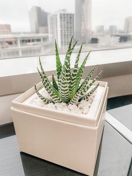 I absolutely LOVE my Lula’s Garden succulent in my new office! These gorgeous succulents would make a great gift for coworkers, hosts, friends, and family! 

Use code: PHR for 15% off! 

#LTKHoliday #LTKSeasonal #LTKGiftGuide