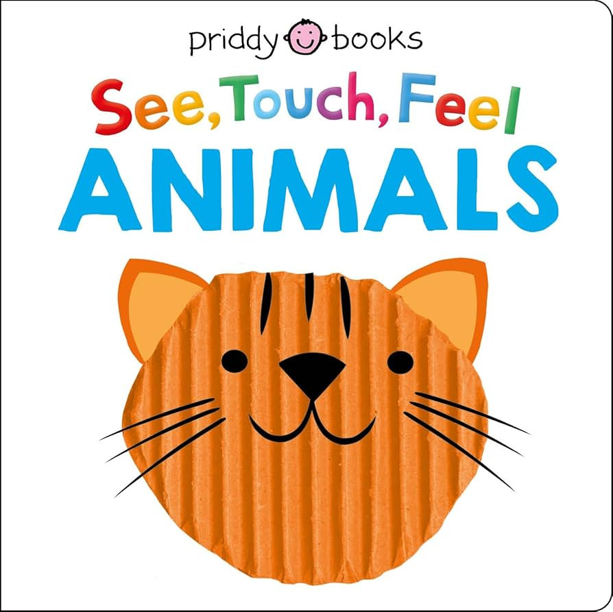 See Touch Feel: Animals | Amazon (US)