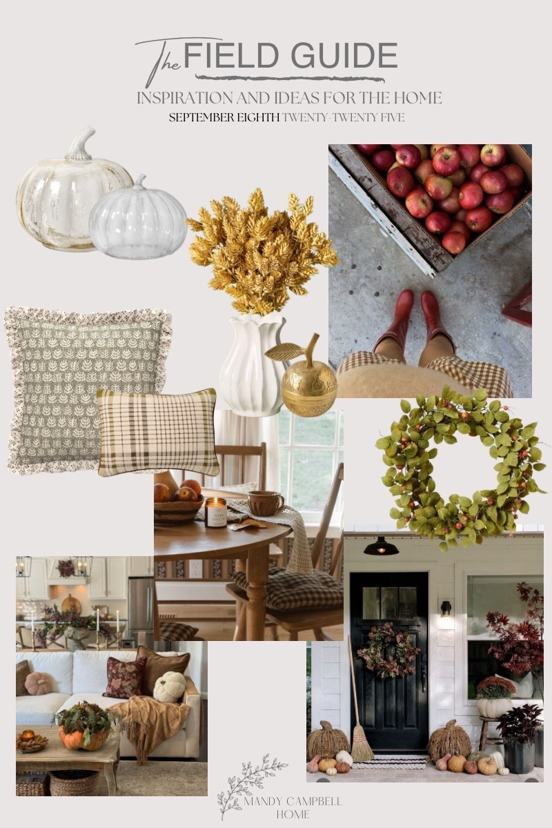 Is anyone else wondering how on earth it’s already almost fall?  It feels a little wild, but it’s the perfect time to start to gather inspiration for the season ahead. Recently, I’ve loved waiting to decorate until fall truly arrives or when I start to feel inspired, there’s something about holding off that makes the season feel more special. It slows down time just a bit and helps me savor where we are right now, while still getting excited for all the cozy moments to come.

This month’s Field Guide is all about cozy textures, earthy tones, and simple, natural touches that make home feel extra welcoming. Think golden leaves, plaid pillows, freshly picked apples, and touches from the outdoors.  All little details that bring comfort and charm into a home.


#LTKFindsUnder50 #LTKHome #LTKSeasonal