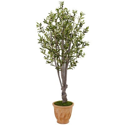 Nearly Natural 5-ft Olive Tree in Terracotta Planter | Target