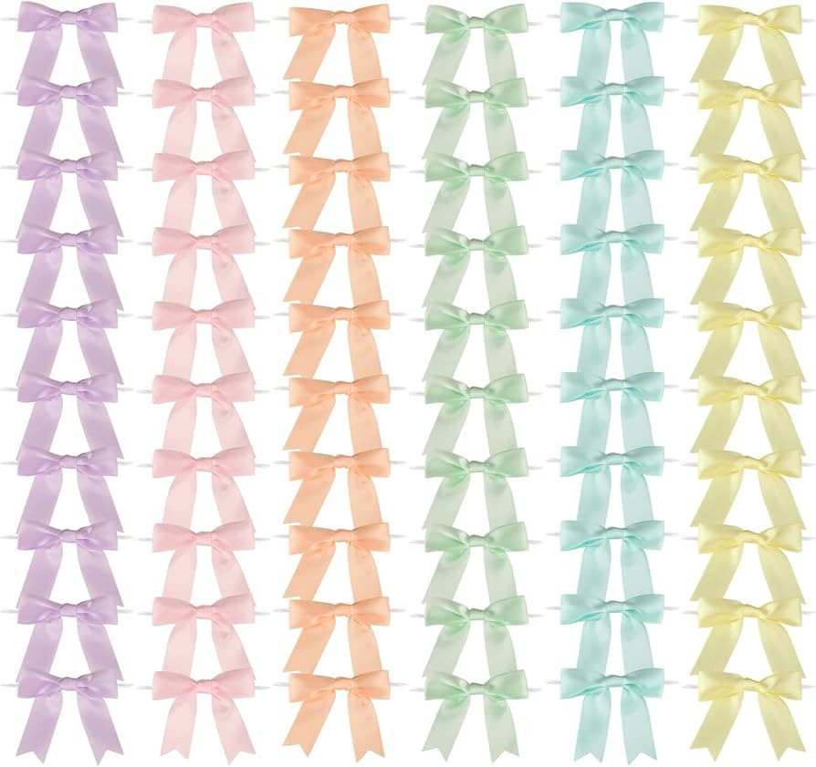 60 Pcs Pastel Rainbow Satin Ribbon Bows with Twist Tie 2.5 Inch Pretied Premade Colored Craft Bow... | Amazon (US)