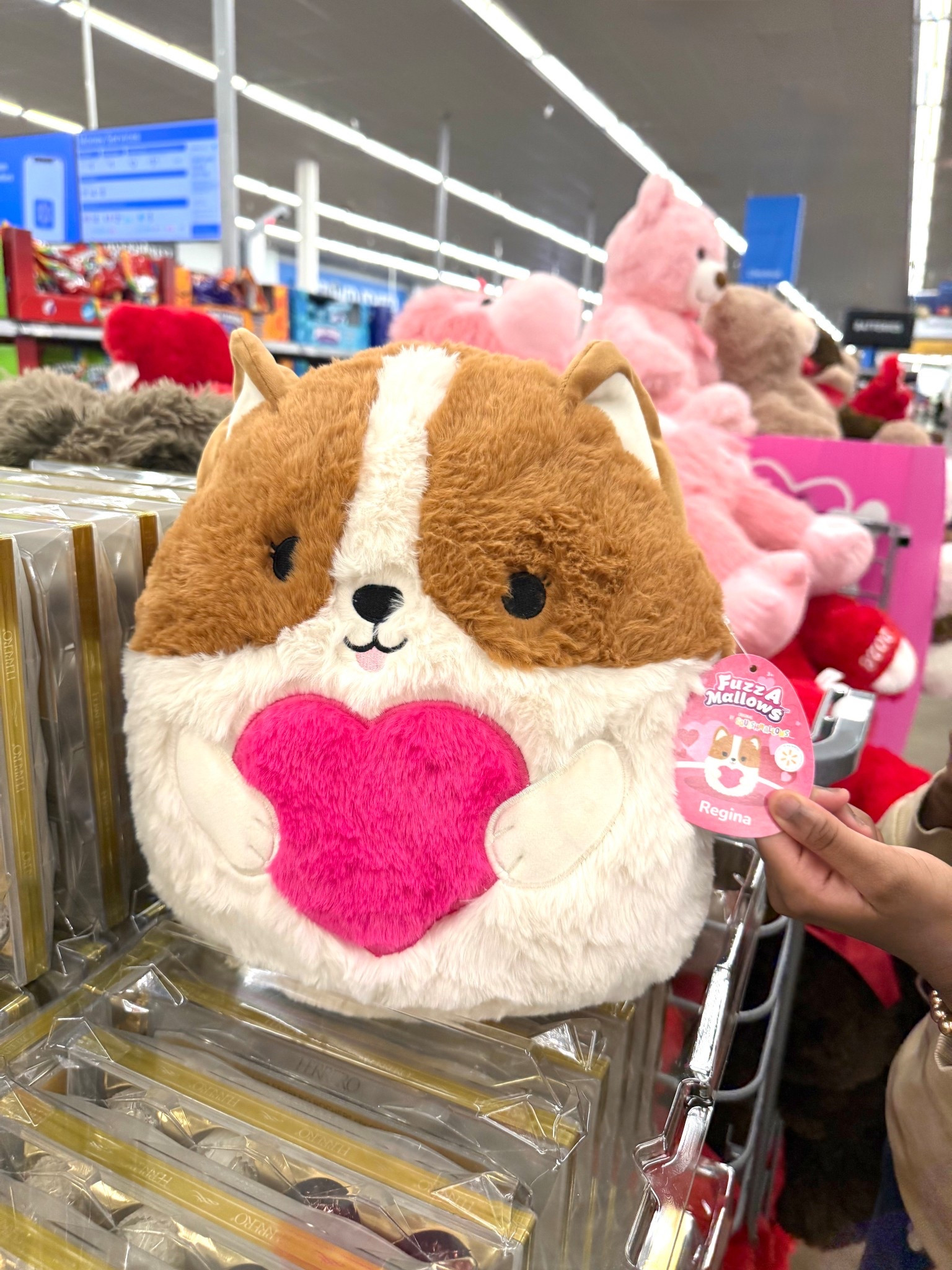 Valentine’s Day plushie for girls 💖 Belle saw this in store and was obsessed. She wants it as part of her Valentine’s Day gift 

#LTKSeasonal #LTKValentine #LTKKids