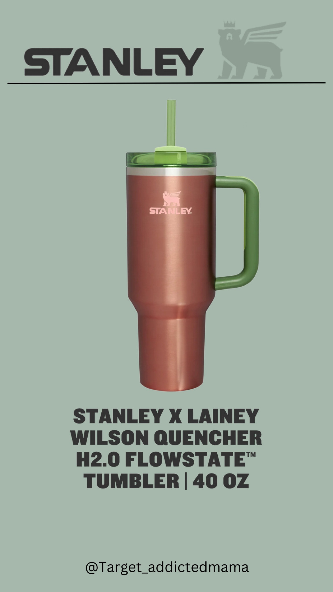 Lainey Wilson X Stanley Cup 40oz (NEW)