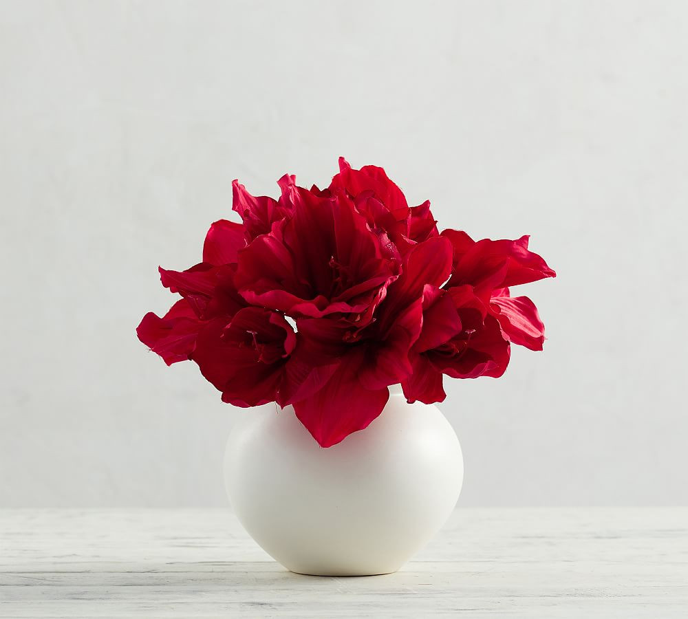 Faux Amaryllis Bouquet | Pottery Barn (US)