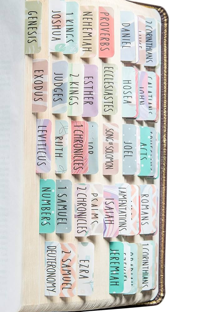 DiverseBee Laminated Bible Tabs (Large Print, Easy to Read), Personalized Bible Journaling Tabs, ... | Amazon (US)
