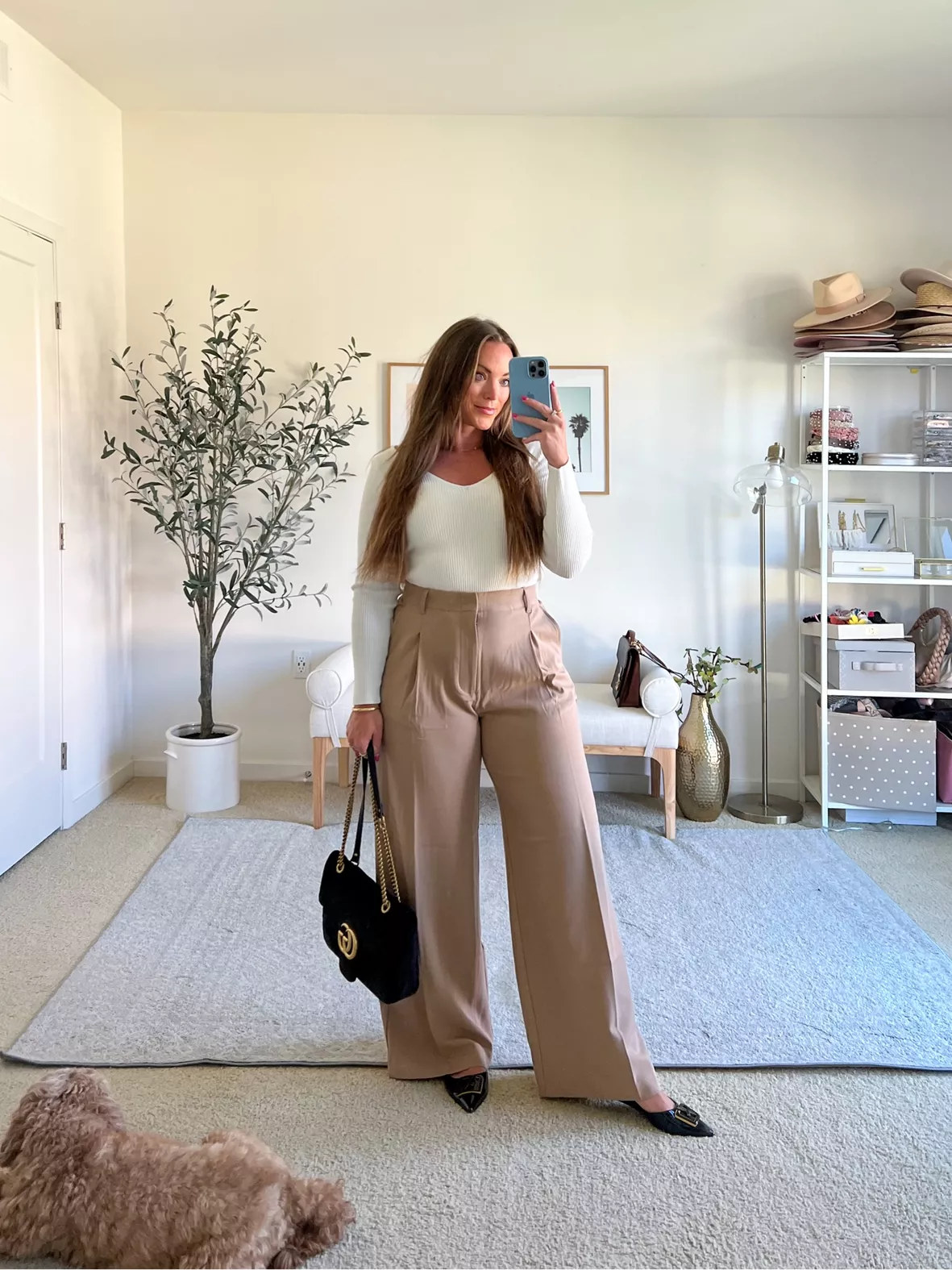 High Rise Pleated Wide-Leg Trousers curated on LTK