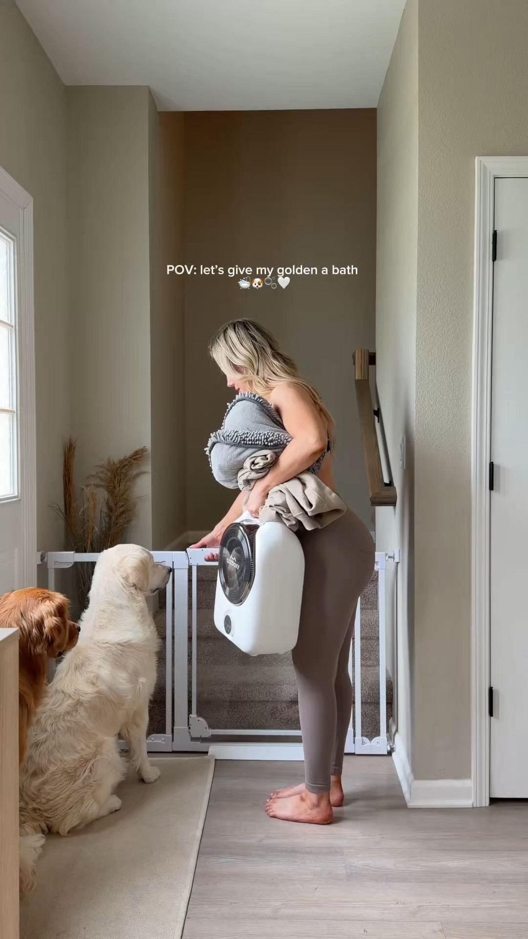 Links from video 🛁🐶🫧🤍