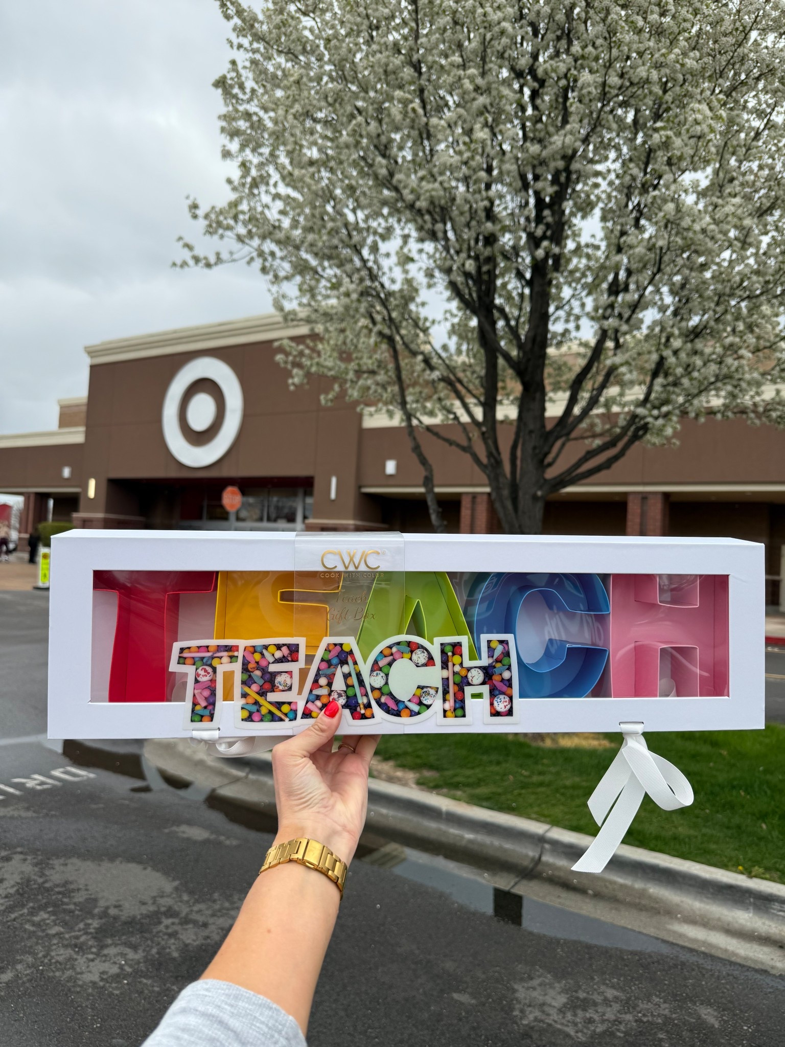 Gift idea for teacher appreciation week or end of the school year! Only $10! #LTKtarget 

#LTKSaleAlert #LTKGiftGuide #LTKSeasonal