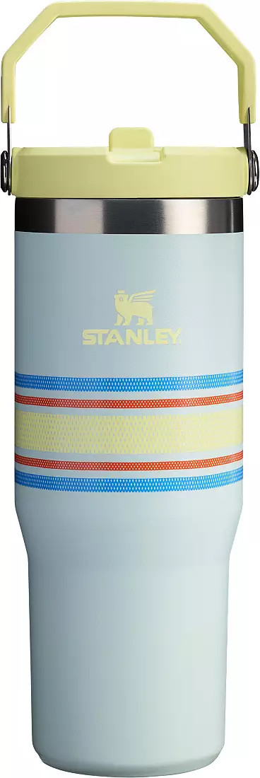 Stanley 30 oz. IceFlow Flip Straw Tumbler | DICK'S Sporting Goods