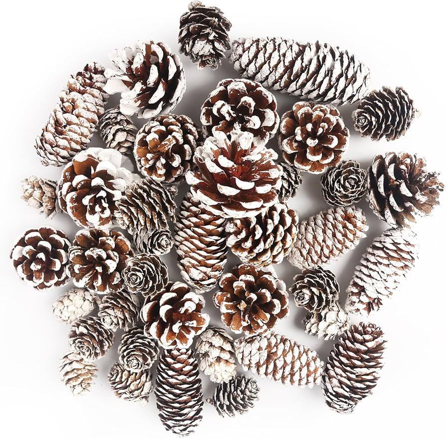 JOHOUSE 40PCS Snow Pinecones for Decorating, Natural Pine Cones for Crafts Vase Filler Christmas ... | Amazon (US)