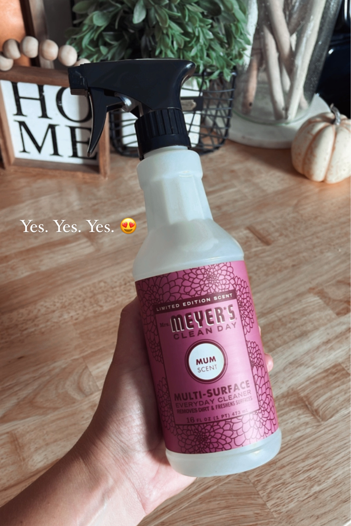 If you haven’t gotten on the Meyers bandwagon yet, this is your sign. I LOVE the new fall scents 😍

#LTKfindsunder50 #LTKSeasonal #LTKHoliday