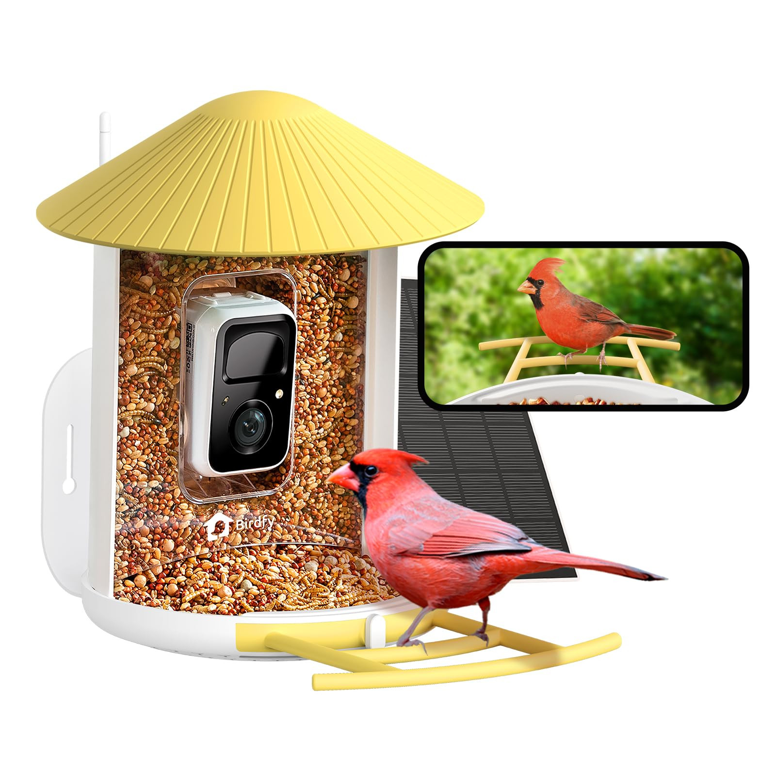 NETVUE by Birdfy Smart Bird Feeder with Camera, Bird Watching Camera, Auto Capture Bird Videos & ... | Amazon (US)