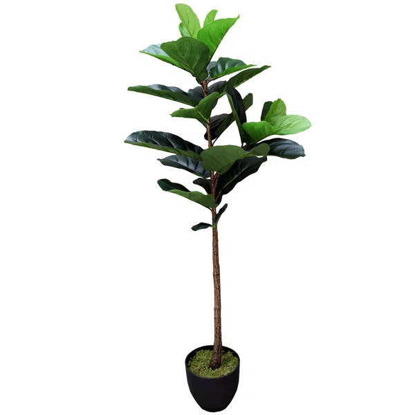 Real Touch Silk Fiddle Leaf Fig Tree in Pot | Wayfair North America
