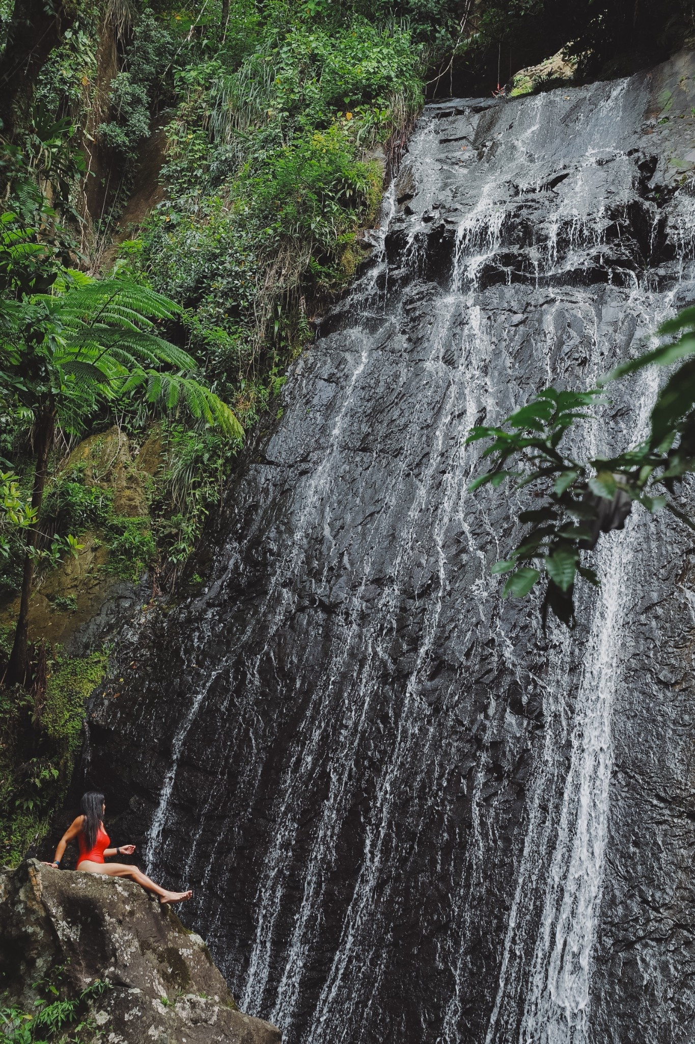 El yunque, rainforest, travel, waterfalls, summer, vacationn

#LTKTravel #LTKSwim #LTKStyleTip